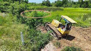 Super power bulldozer and skill operator clearing tree and pushing soil with dump trucks