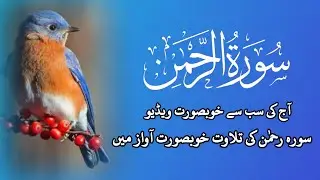 Surah Ar-Rahman | The Most Beautiful Quran Recitation | Heart Touching Tilawat ✨ 