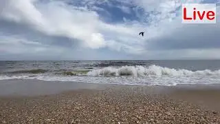 Nature with DearPlanet | Beach | World's Most Beautiful Places