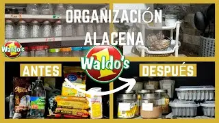 WALDOS Productos de Organizaci&oacute;n/ ORGANIZO mi ALACENA con POCO DINERO/#WaldosEsMiSecreto