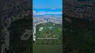 El bosque de Chapultepec