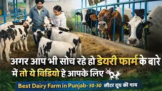 Best Video for New Dairy Farm🙏 Must Watch 👌 25-40 litre milk per Day