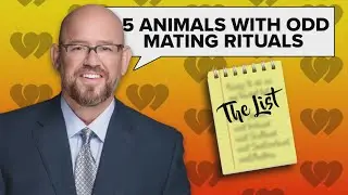The List: Paul on 5 animals with odd mating rituals
