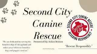 Second City Canine Rescue