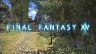 Final Fantasy XIV: A Realm Reborn - Sylphic Studies.