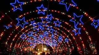 🎧 EDM [Holiday Lights] 🎧 - (Official Audio) #music #christmasmusic