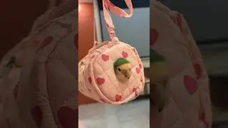 This is a travel bag specifically designed for small parrots. #birds #parrots #parrot #pets #shorts
