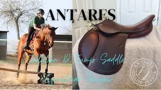 ANTARES Evolution D Jump Saddle | Equestrian Review
