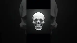 Hunter skull 🗿🗿☠️