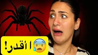 عنكبوت واحد خلاني أصرخ 😱 عندي فوبيا!