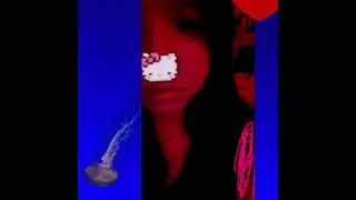 VERTIE! [Official Audio]