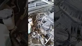 Hyundai nios timing  belt damage