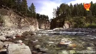 Heart Touching Russian Song - Nature Song