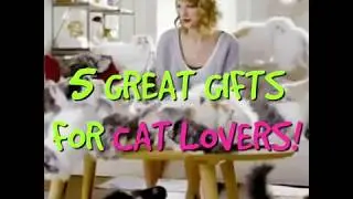 5 Gifts for Cat Lovers