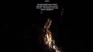 #trendingaudio #ytshorts #trending #viral #shortitfeelit #explore #life #quotes #youtubefeed#fyp#yt