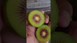 🥝 Red Kiwi Fruit 🥝 Exotic Superfruit Packed with Flavor & Nutrition 🥝