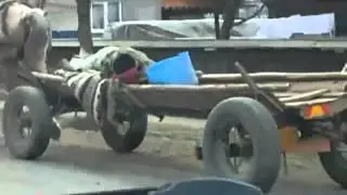 Нано Каруца на Автопилоте Made in Moldova