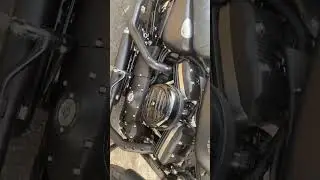 22&rsquo; iron 883 with 3 inch rinehart slip on mufflers. #exhaust #rinehart #iron883 #harleydavidson