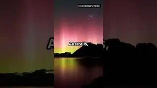 Aurora Borealis vs. Aurora Australis &ndash; How Are They Different?#auroraborealis #auroraaustralis#shots