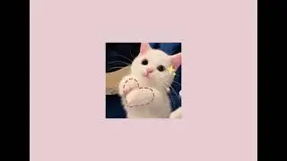 stand by me - shinee (sped up)