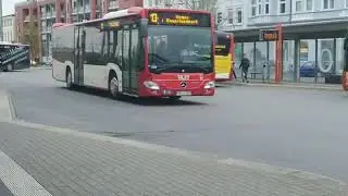 Busse aus den Märkischen Kreis #2