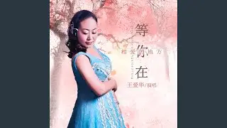 等你在相爱的地方