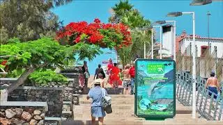 Hotel EUROPALACE & Playa del Ingles INFO Video HD