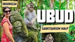 Bali: Monkey Forest Ubud – bilety, małpy i porady