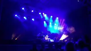 Adrià Puntí - El boulevard dels xiprers