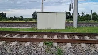 20240614 185430 eumodicogr dornau