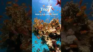 7 Best Things to Do in Sharm El Sheikh 🌊✨