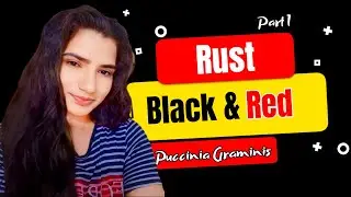काला रतुआ और लाल रतुआ रोग | Black Rust & Red Rust Disease | Puccinia graminis | Part 1