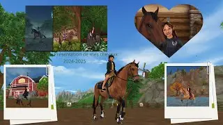 SSO: Présentation de mes chevaux en 2025