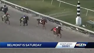 'Tiz the Law' early favorite for Saturday's Belmont Stakes