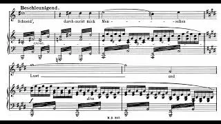 Eugen d'Albert &mdash; Seejungfr&auml;ulein, Op.15