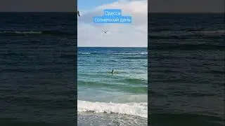Одесса⚓️ Идеально для купания #odessa #ukraine #shorts #море #sea #beach #waves #virulshorts