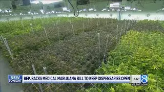 Bill would keep Rx pot shops open before licenses