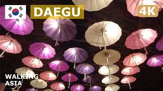 🇰🇷 South Korea, Daegu: E World Amusement Park & Daegu 83 Tower Night Walking Tour - 4K