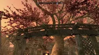 Skyrim 60 fps ps5 warchild