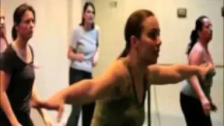 dans-dansen 2011.flv