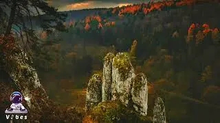 UNCOMMENN - Roots