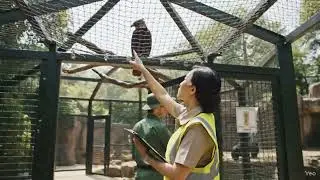 Zoo - safety check list