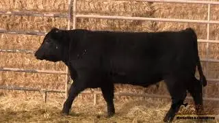 PRA PT 050