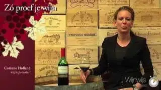 Wijnwijs in 60 seconden over Merlot