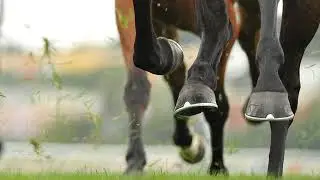 Wyoming Gaming Commission Annual Fall Meeting Day 1