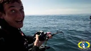 Halibut Coos Bay, Oregon 2020