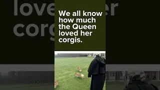 How Queen Elizabeth II's love of corgis began