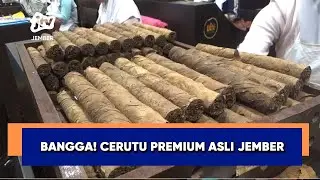 Cerutu Jember Tembus Pasar Dunia, Siap Ekspansi ke Amerika Serikat