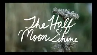 Field Recordings - The Half Moon Shine