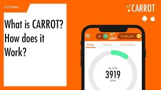 What is CARROT and how does it Work?